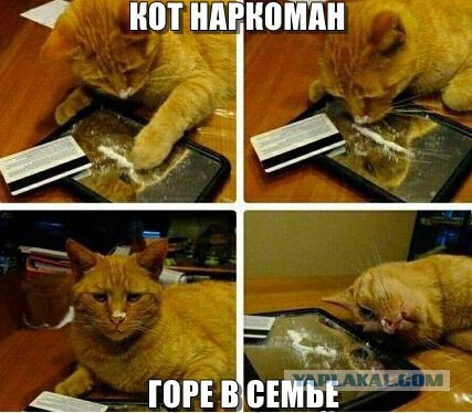 Вжууух! И снова пятница! Ура, товарищи!
