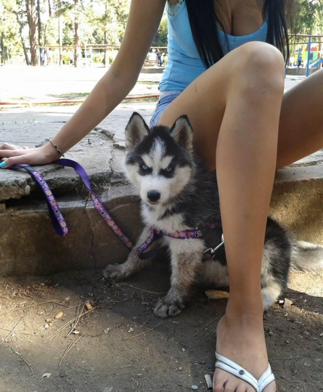 Прикольные картинки
