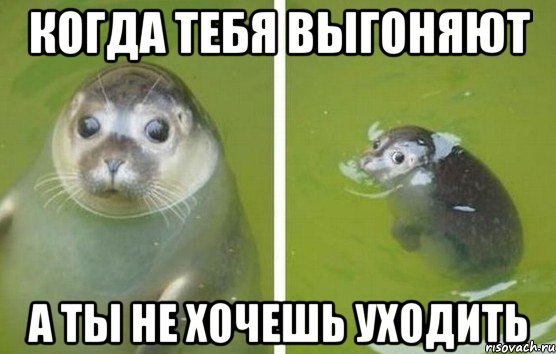 Смотрим и деградируем