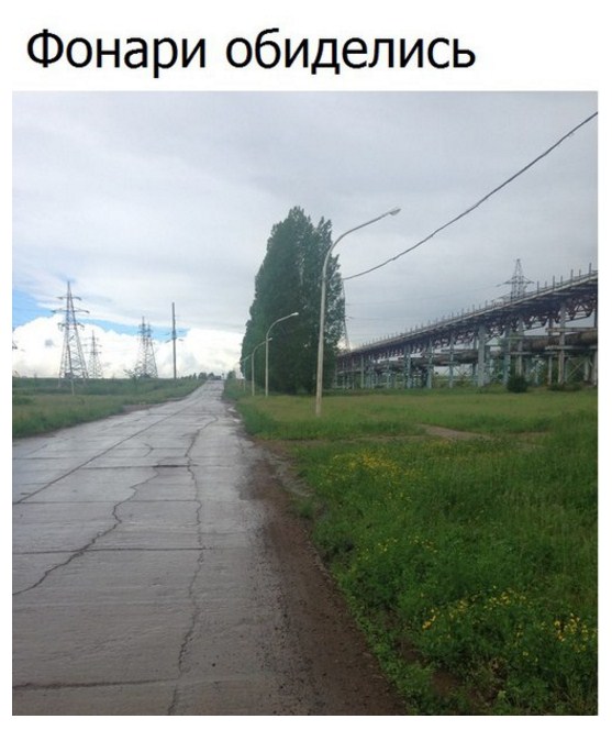 Прикольные картинки 19.06.2017.
