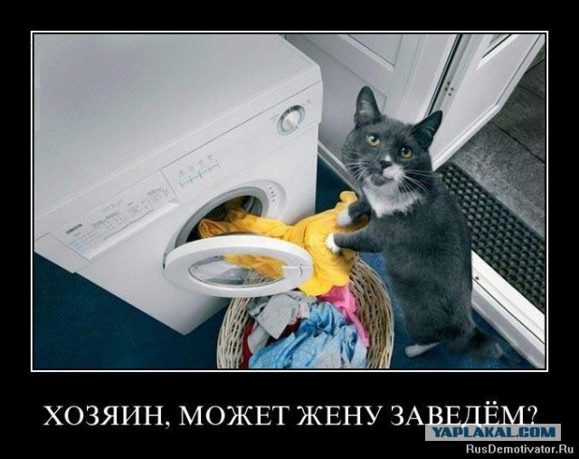 Мяукалин