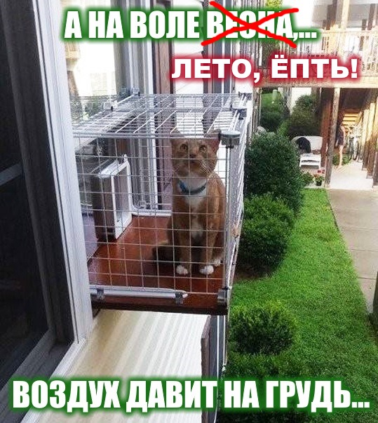 Немного деграданса - 8