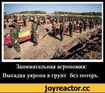 В Госдуме предложили отменить Договор о сотрудничестве с Украиной