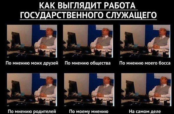 Занимательная госслужба