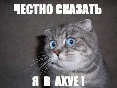 Что не так с московскими красавицами?