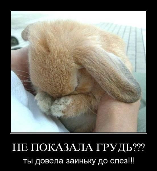 Только хотела прекратить...