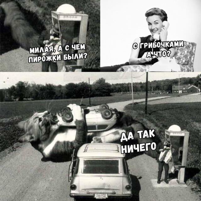 Женщина за рулём