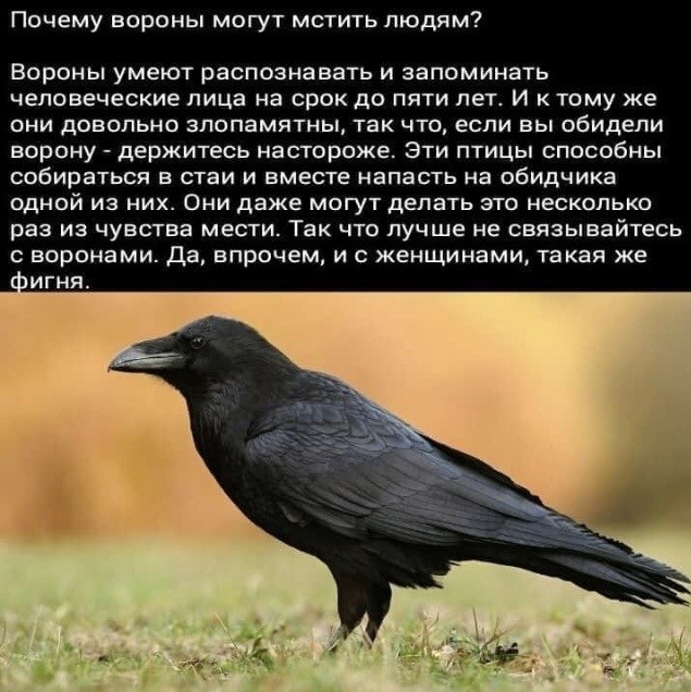 Юмор из соцсетей 27,07,2020