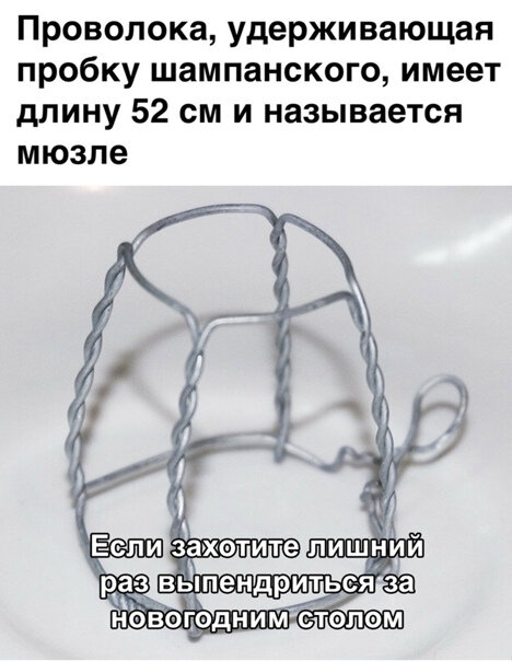 Фотки и картинки: юморные и красивые, забавные и милые 28.12.20