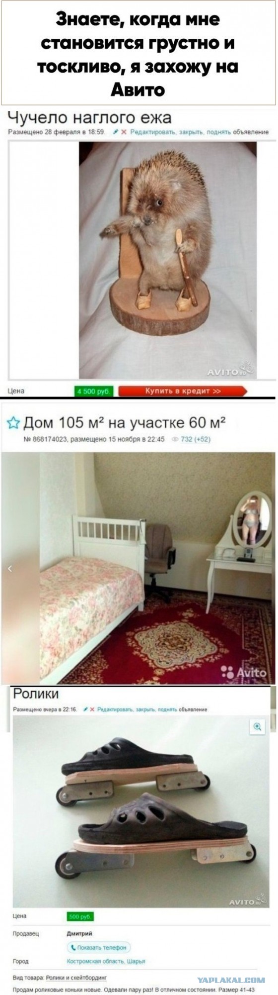 Картинки с надписями и всякие жизненные фразы