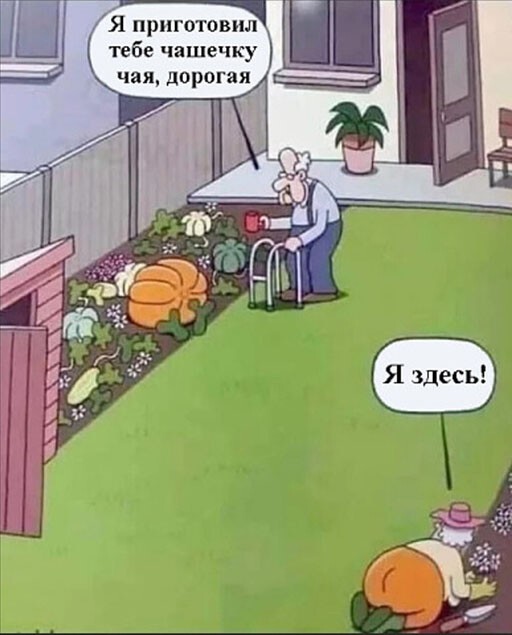 Пятница. Вечер. Картинки всякие #9