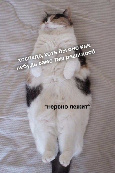 Так себе картинки 02.07.22