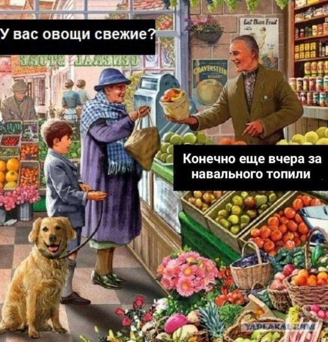 Шойгу назвал «дружественные государства» России