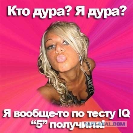 "Мы приехали на этот праздник... Ой, трагедию!"