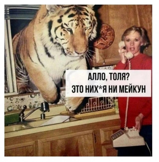 Нуштош 18.08.2023