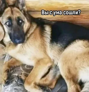 Литературный конкурс "Три Кокоса" 2023. Читаем работы