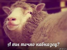 Юрий Жирков согласился на имя Магомед