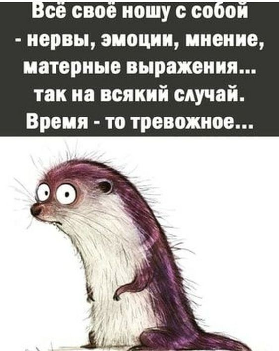 Мемчики и картинки для настроения и подумать