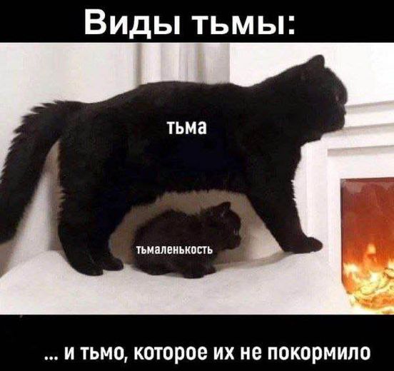 Так себе картинки 19.05.24