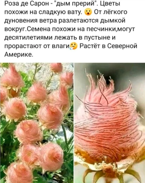 Так себе картинки 24.07.24