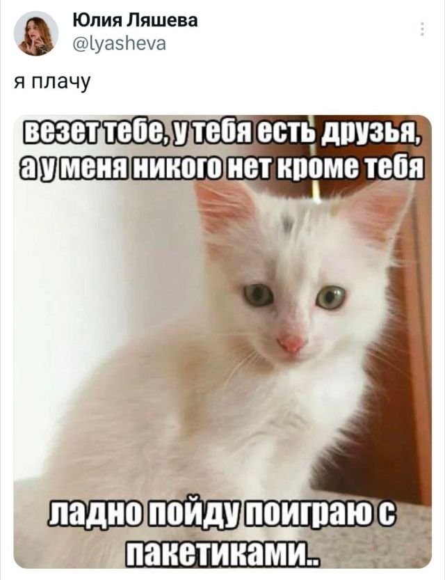 Заключительные баяны на этой неделе