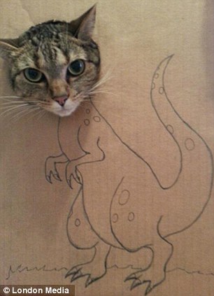 Кошачий косплей
