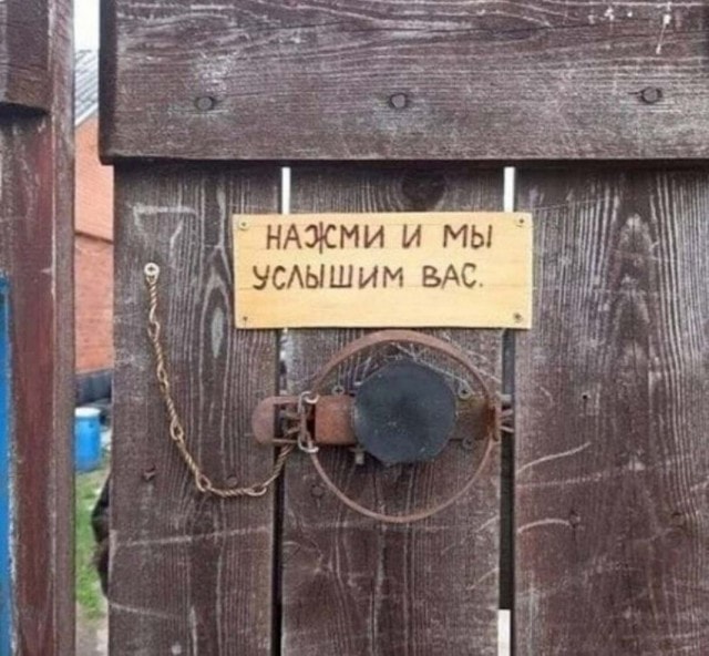 20747886.jpg
