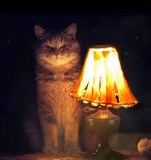 Чем закончилась моя история измены жены