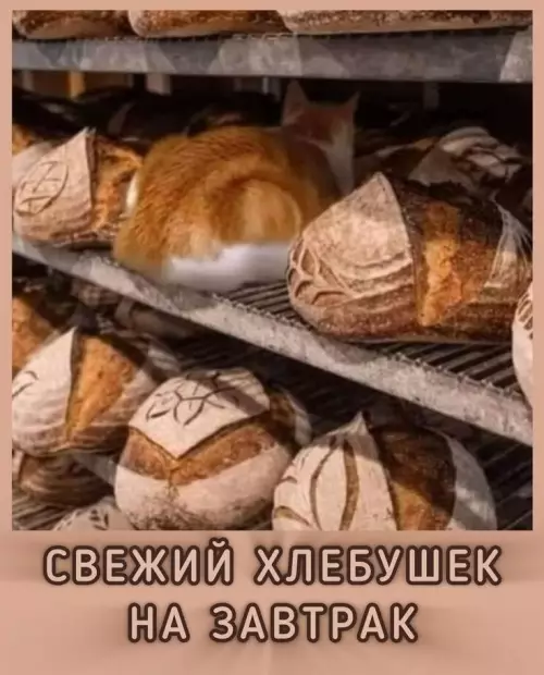 Картиночки, баянчики 10 марта