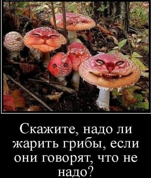 Кто настоящий хозяин Земли. И это отнюдь не пришельцы или рептилоиды.