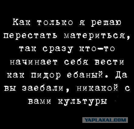 Картиночки, баянчики 19 июля