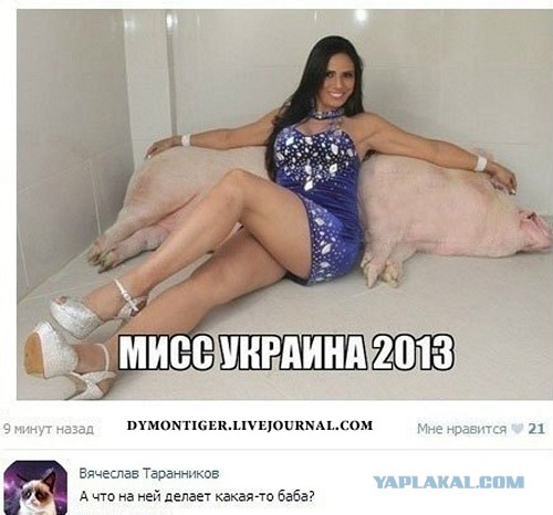 Смешные комментарии из социальных сетей #2