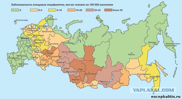 10 мифов о клещах