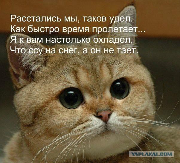 А как вы относитесь к своим бывшим?