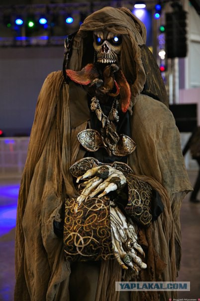 Comic Con 2014