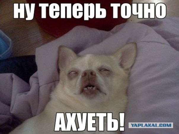 Местами поднадоевшие картинки