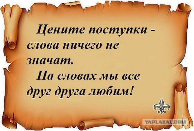 20 фактов обо всем