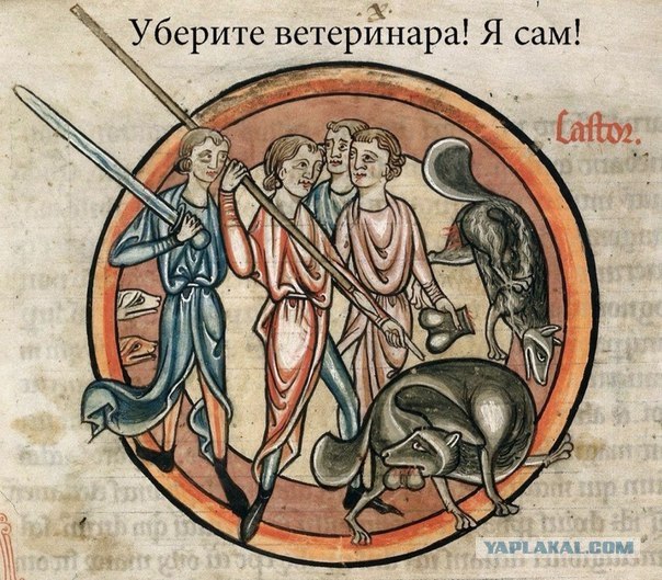 Средневековое веселье 2