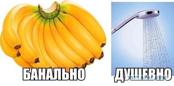 Забавные картинки из сети