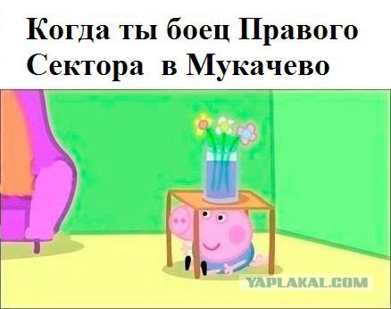 Колонна техники всу движется в сторону Мукачево