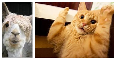 "Верни телефон, мразь!"