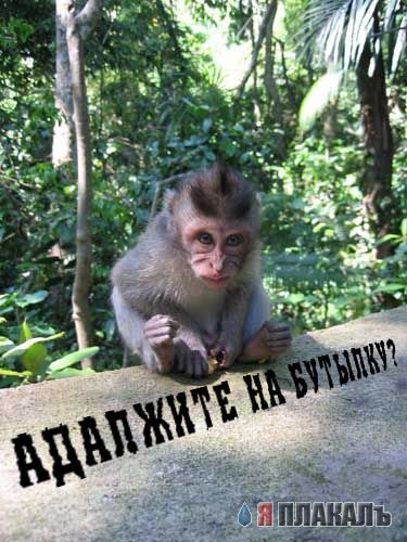 Уже да :) Ужо пятнецца...
