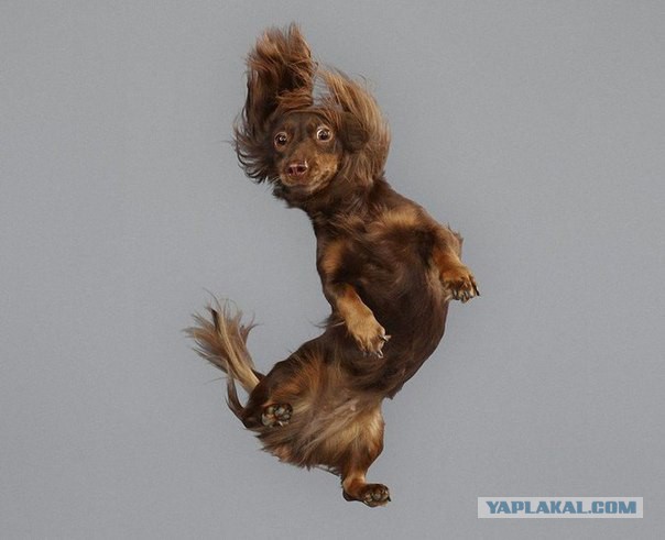 Подборка картинок 29.03.16