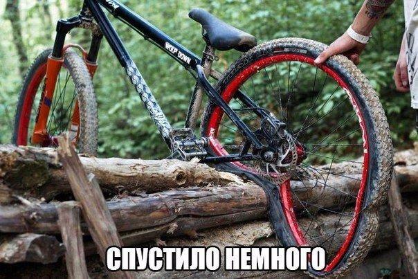 Картинки разные.