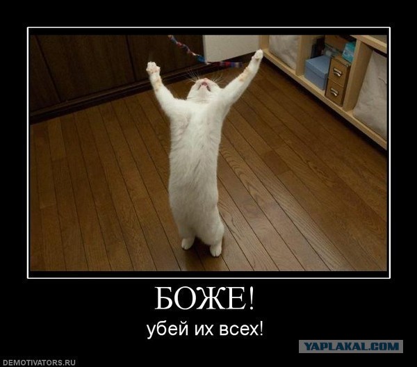 Короткие рассказы ©ekimosss