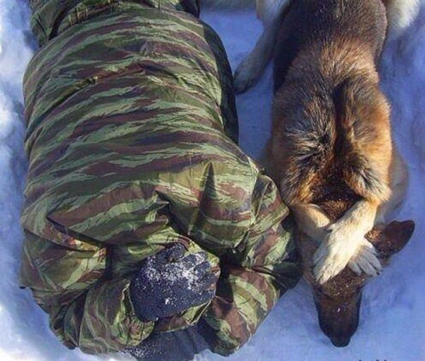 Прикольные животные