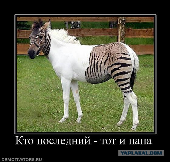 Картинки для тех, кому делать не фиг.