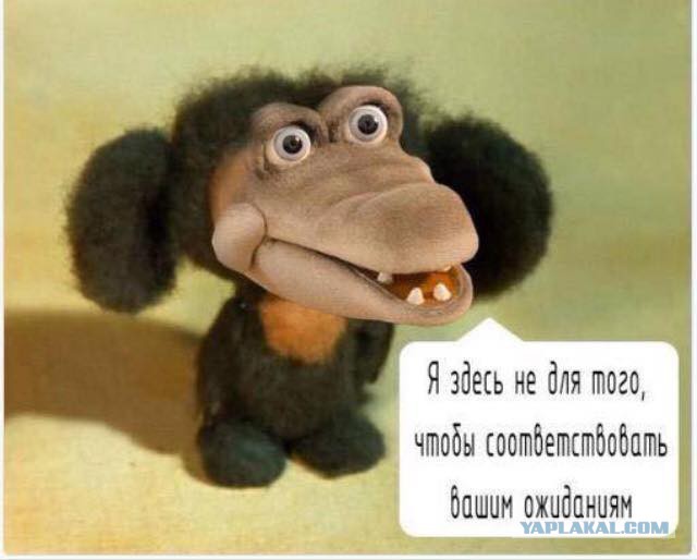 Предательство новогоднее