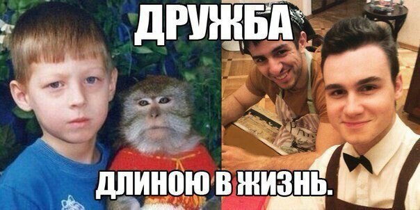 Да они же обдолбанные все!