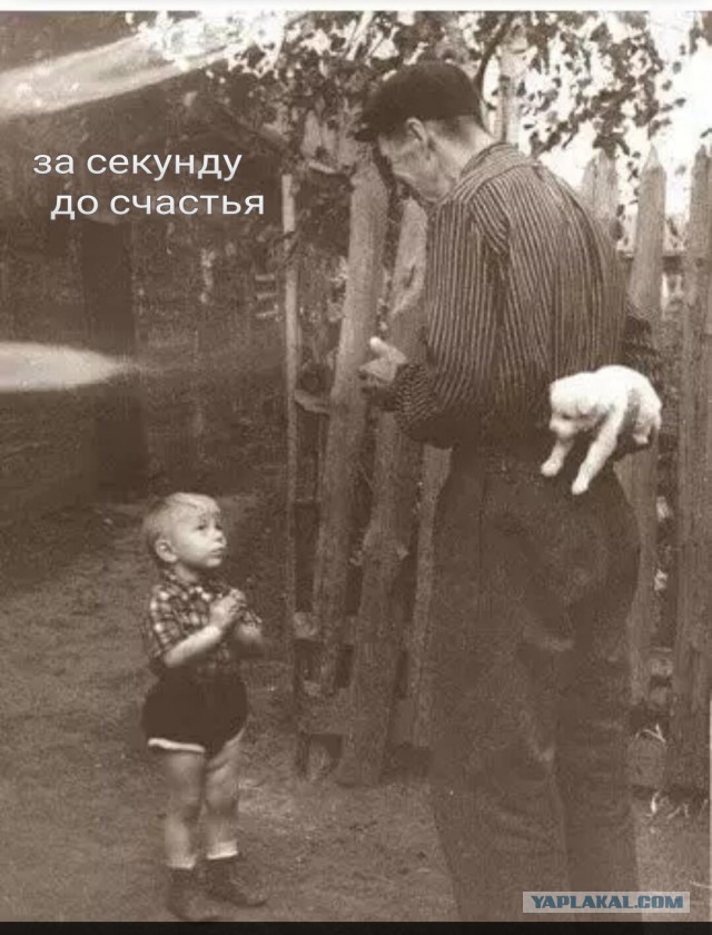 Первая встреча и любовь с первого взгляда.